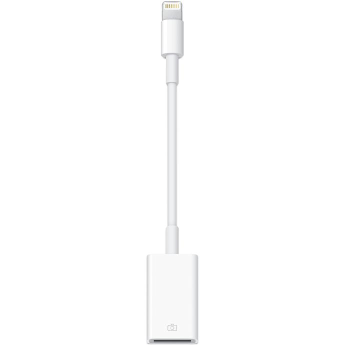 Female USB-A to Male Lightning port adapter.